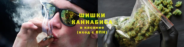 амф Аркадак