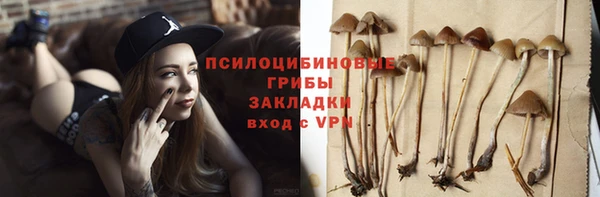 амф Аркадак