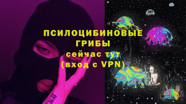 прущая мука Арсеньев